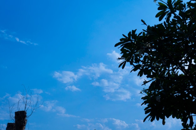 雲のような劇的な空、雨の前の暗い嵐の雲。