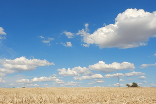 Dramatic sky with cumulus clouds over movn hay Seasonal autumnal landscape for backgrounds