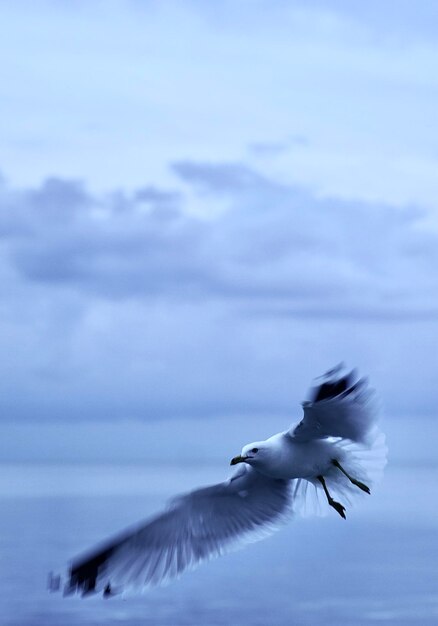 写真 劇的な空