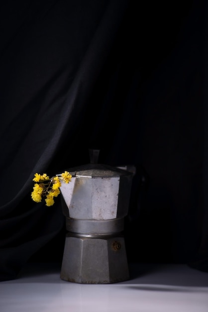 Dramatic spring still life with yellow flowers on a whiteblack background