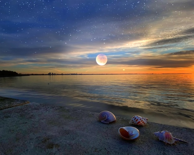 dramatic starry sky cloudy blue orange pink sky at sunset sea
