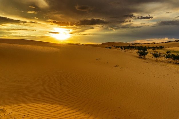 砂漠の劇的な夕日