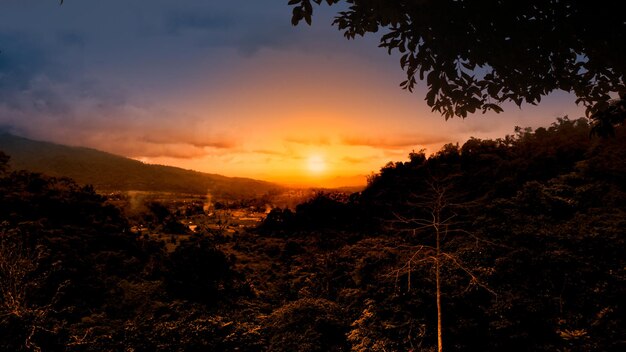 Spettacolare paesaggio al tramonto con colline e silhouette di alberi