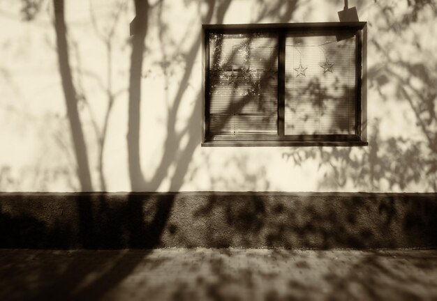 Драматическая тень дерева на фоне стены дома сепия