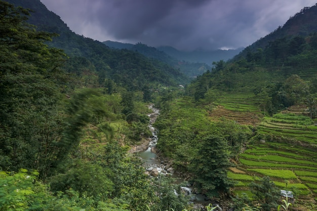 Dramatic valley with rice field and forest