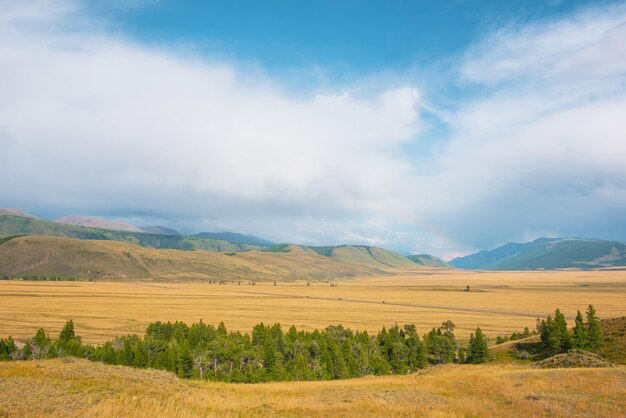 Dramatic view from forest to high mountain range in sunlight during rain in changeable weather Colorful landscape with green forest and sunlit steppe against large mountains under cloudy sky in rain