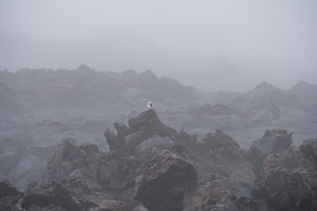 火山の風景の劇的な眺め。