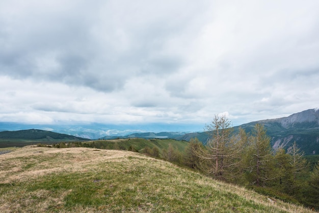 Dramatisch landschap met naaldbomen op een heuvel met uitzicht op zonovergoten uitgestrekte bergen in regenachtige lage wolken Atmosferisch bovenaanzicht op groene bergkam onder grijze bewolkte lucht bij wisselvallig weer