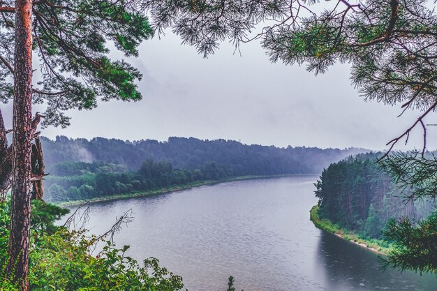 Dramatisch mystiek landschap op een mistige rivier