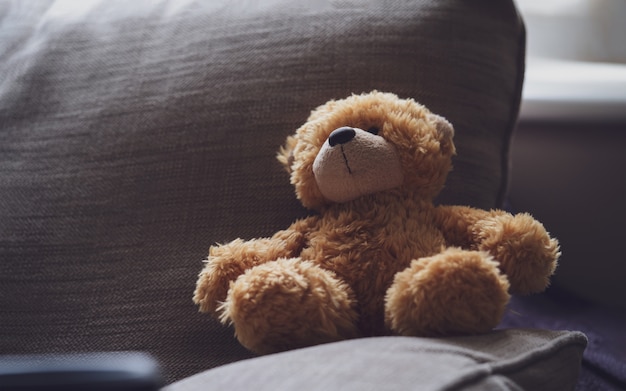 Dramatische foto van teddybeer zit op de bank in een donkere kamer met zonlicht.