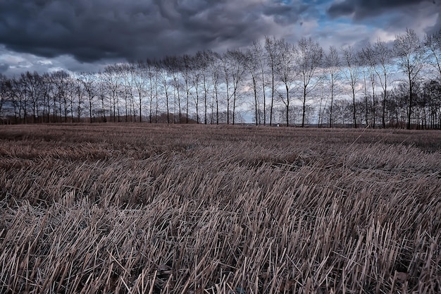 dramatische herfst landschap veld hemel abstract begrip verdriet