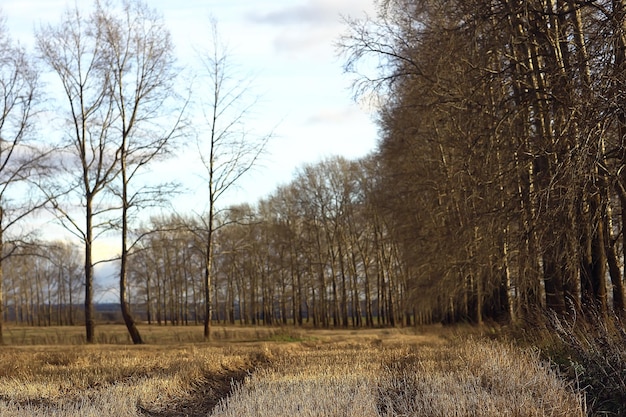 dramatische herfst landschap veld hemel abstract begrip verdriet