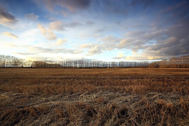 dramatische herfst landschap veld hemel abstract begrip verdriet