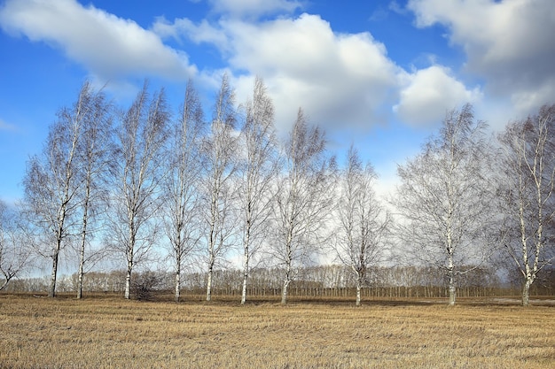 dramatische herfst landschap veld hemel abstract begrip verdriet