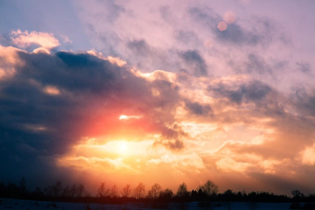 Dramatische lucht boven het bos in de avond