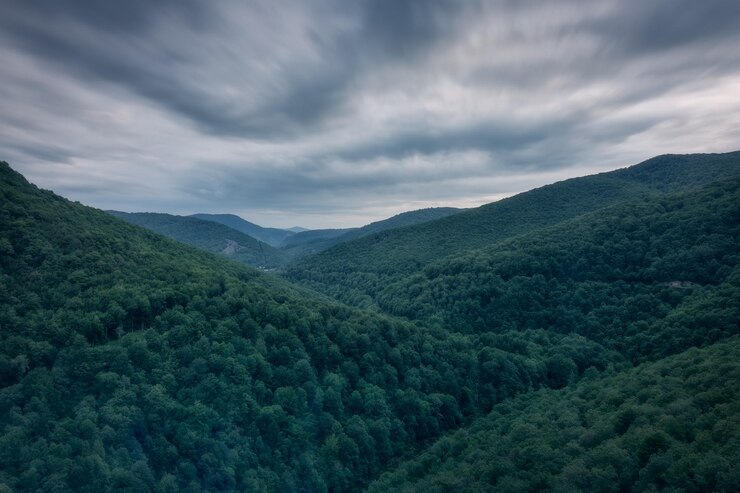 Dramatische lucht in de Irati Jungle Navarra Spanje