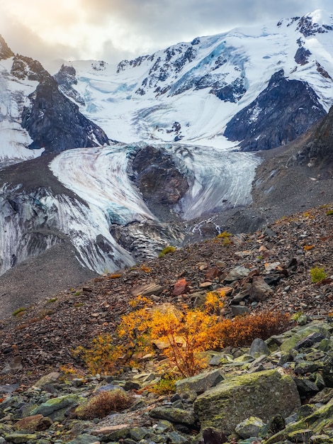 Dramatische natuurlijke achtergrond van het gletsjeroppervlak met scheuren De natuurlijke achtergrond van de ijsmuur en de gletsjer op de achtergrond. Mooie natuurlijke textuur van een donkere gletsjermuur. Verticale weergave