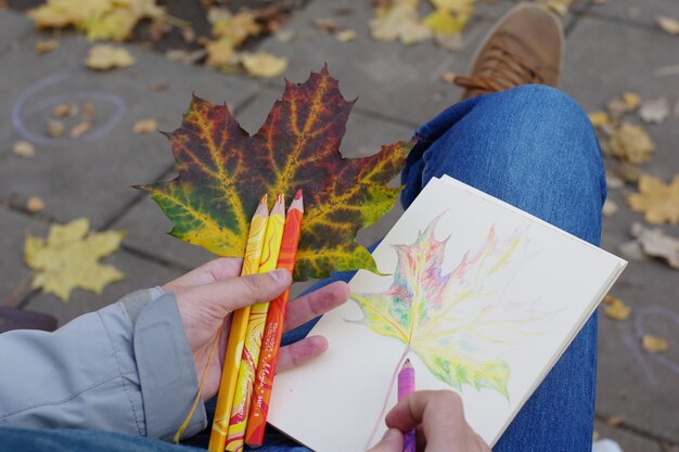 Draving a Fast Autumn Foliage Sketch