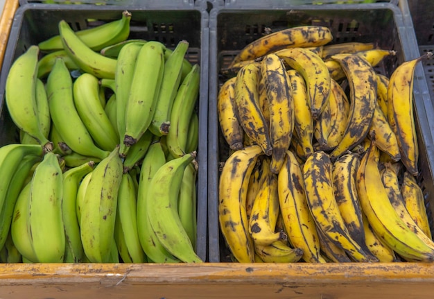 Photo a drawer with green bananas next to one with ripe bananas