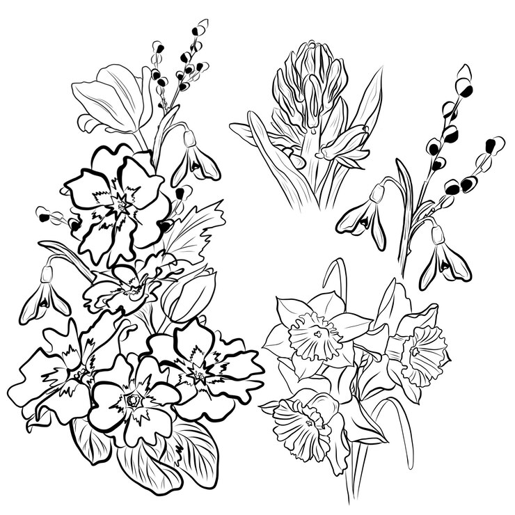 Photo 春の花の花束を描く