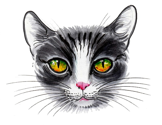 A drawing of a cat with green eyes and a pink nose