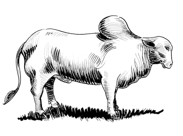 A drawing of a cow with a large horn on it