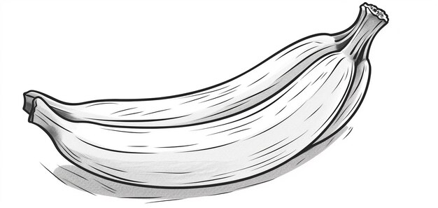 Photo a drawing of a cucumber with a white background.