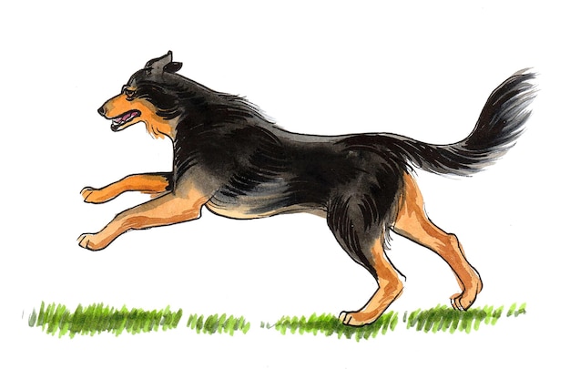 A drawing of a dog running on the grass