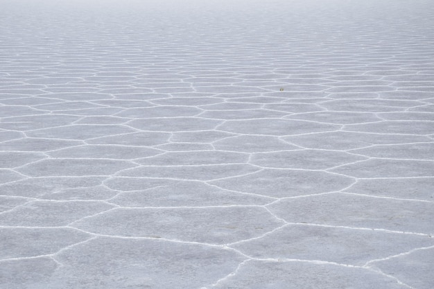 ボリビアのウユニ塩湖の水面に乾燥した塩を描く