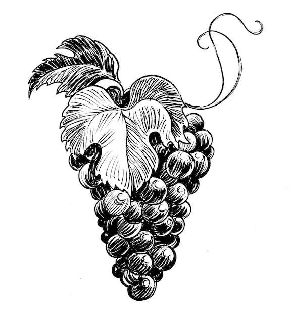 A drawing of grapes with the letter a on it