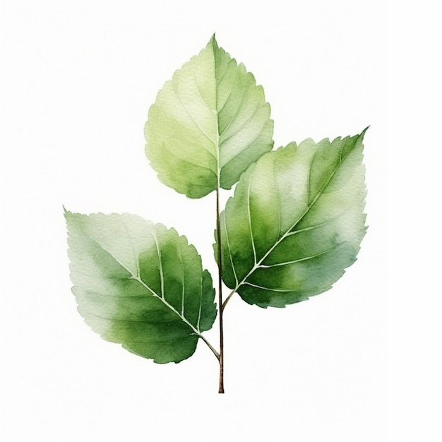 Photo a drawing of a green leaf that says quot the word quot on it