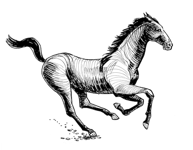 Photo a drawing of a horse that has the word horse on it