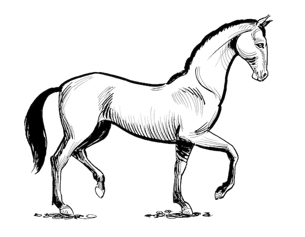 Foto un disegno di un cavallo con coda e coda nere.