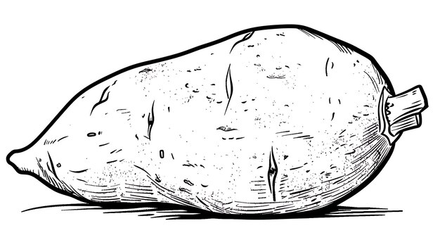 Photo a drawing of a large potato with a white background and a black and white drawing of a lemon