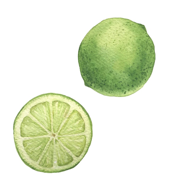 A drawing of a lime and a half of it