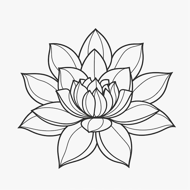 A drawing of a lotus flower with leaves on it generative ai