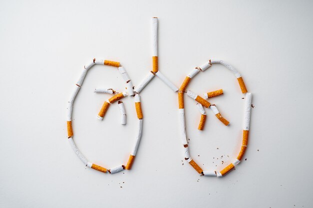 Photo drawing of lungs made out of cigarettes