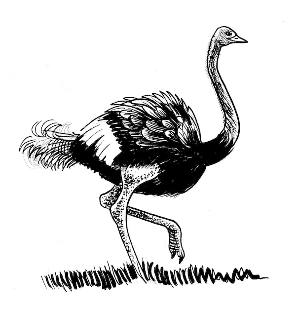 A drawing of an ostrich with the number 2 on it