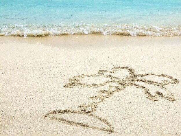 Drawing  "Palm-tree"  in the sand on a tropical island,  Maldives.