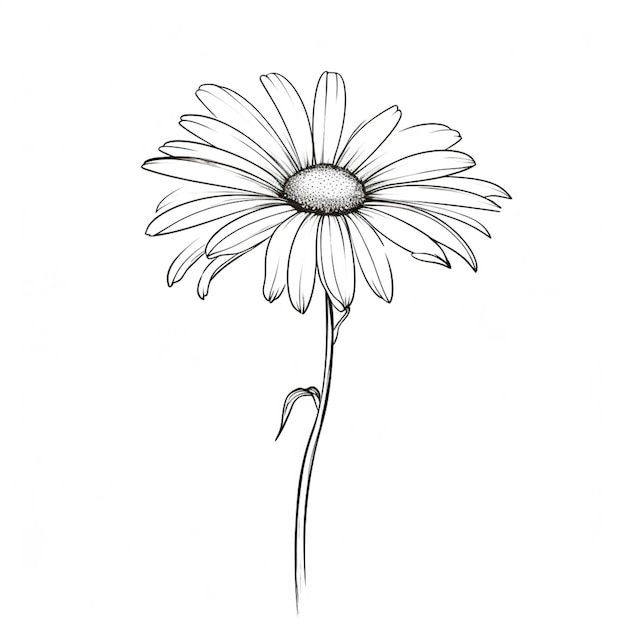 a drawing of a single daisy flower with a stem generative ai