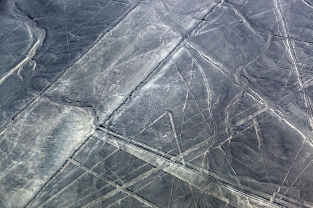 Photo drawing spider to the desert of nazca