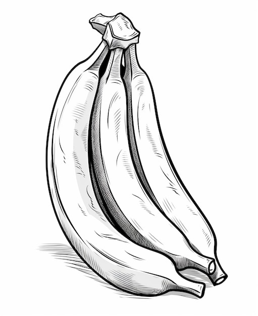 A drawing of three bananas with the word banana on it