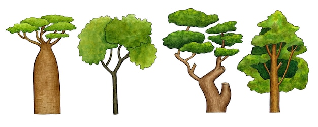 A drawing of trees and a tree