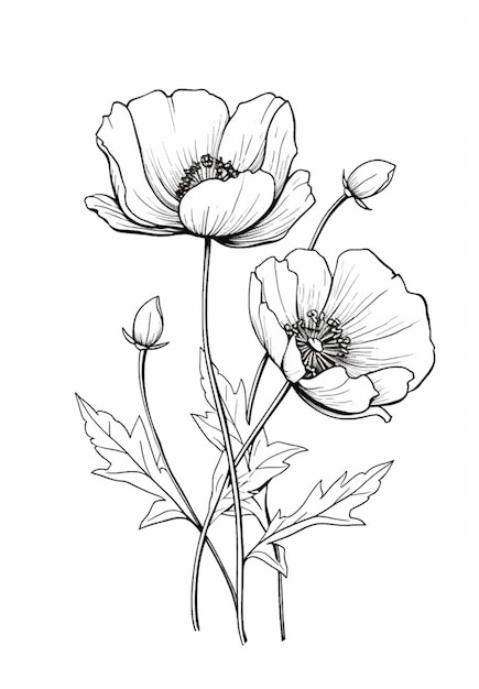 Photo a drawing of two flowers with leaves on a white background generative ai