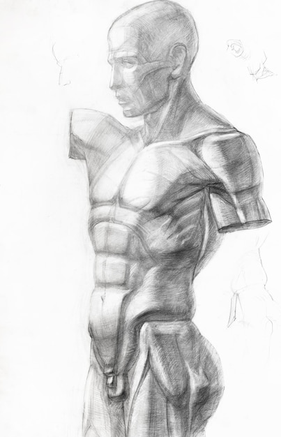 グラファイト鉛筆で描かれた男性の体の図