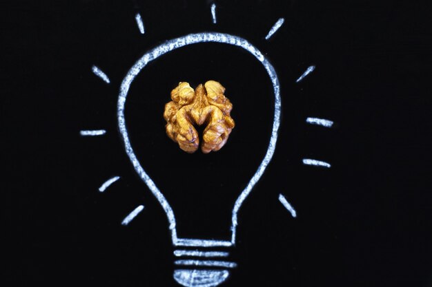 Photo drawn light bulb with tasty shelled walnut on a black background