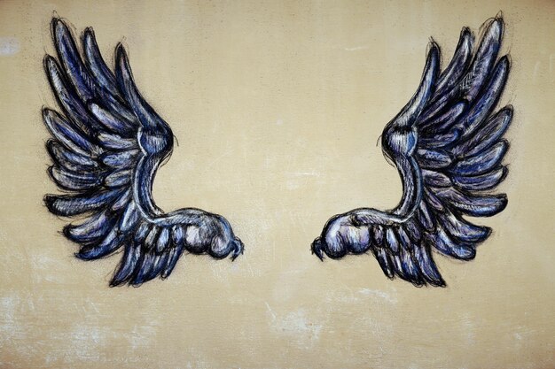 Photo drawn wings