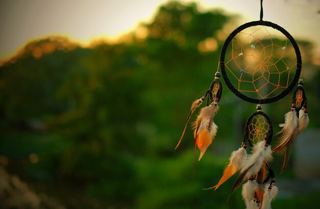 Dream Catcher with Evening Light