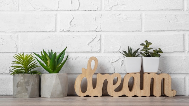 Dream word next to flower pots