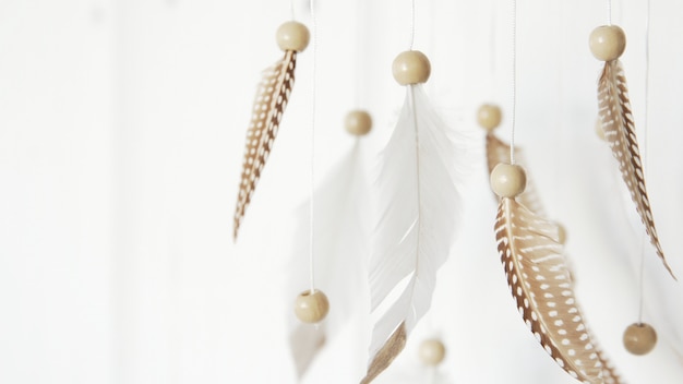 Dreamcatcher. Feather decoration. Feathers on a white background